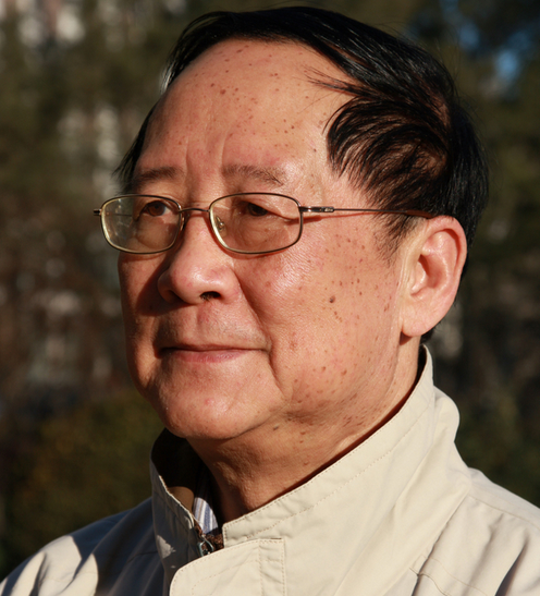 Yang Yi 4
